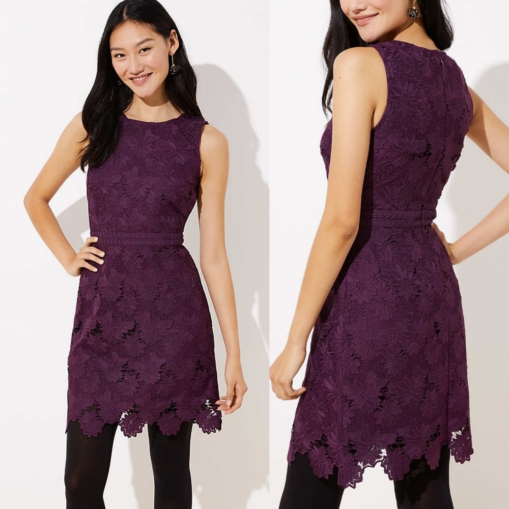 🎉HP🎉 Loft Floral Scalloped Lace Dress - Picture 5 of 7